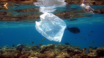 Καμπάνια της WWF Ελλάς για την πλαστική ρύπανση