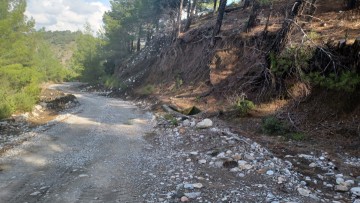 Εξηγήσεις για τους αγροτικούς δρόμους ζητά από τον δήμο ο Σ. Διακοσταματίου