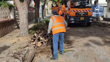 Νέα διακοπή κυκλοφορίας το σαββατοκύριακο στη Στεφάνου Καζούλη για κλάδεμα δέντρων