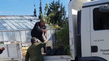 Νέες παραδόσεις φυτών από το Περιφερειακό Φυτώριο Νοτίου Αιγαίου