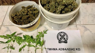 Συνελήφθη για κατοχή ναρκωτικών και καλλιέργεια δενδρυλλίων κάνναβης στη Κω