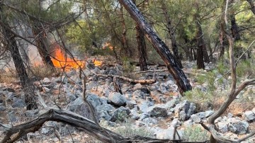 Σε ύφεση η φωτιά στην Κυμισάλα- Παραμένουν στο σημέιο οι πυροσβεστικές δυνάμεις