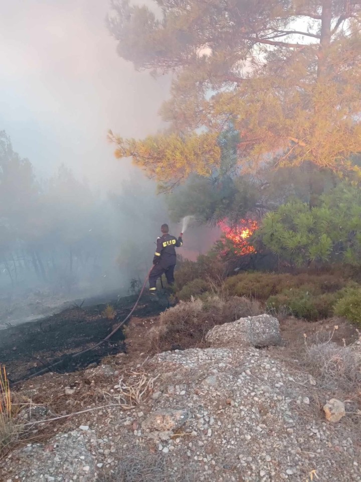 Εθελοντική Ομάδα Αντιμετώπισης Καταστροφών Σαλάκου