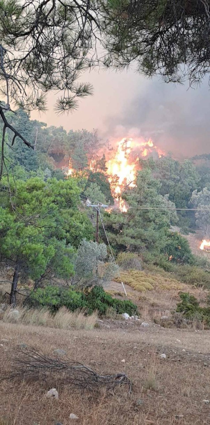 ΦΩΤΟ: ΕΘ.ΟΜ.Α.Κ. Σαλάκου