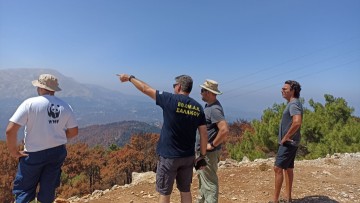 Αυτοψίες στις περιοχές που κάηκαν από το WWF Ελλάδος