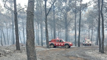 «Rodos Week»: Οικονομική ενίσχυση πολιτών που εκκένωσαν τα ξενοδοχεία τους κατά τις δασικές πυρκαγιές του καλοκαιριού