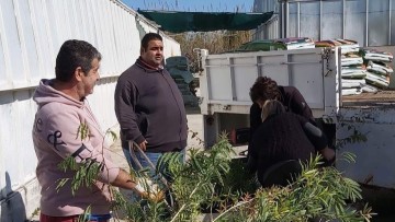Συνεχίζονται οι παραδόσεις φυτών σε όλο το Νότιο Αιγαίο από το περιφερειακό φυτώριο