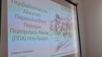 Φιλήμονας Ζαννετίδης: «Η Περιφέρεια Ν. Αιγαίου στηρίζει το πιλοτικό πρόγραμμα Αμοργόραμα, για την αντιμετώπισης της υπεραλίευσης στο Αιγαίο»