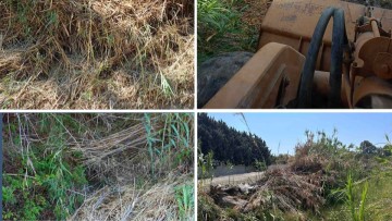 Γιώργος Χατζημάρκος: "Ανεύθυνοι γέμισαν τα ποτάμια και τα ρέματα με κλαδιά και καλάμια."