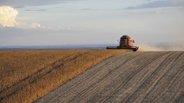 Greenpeace: Σχεδόν το 1/3 των αγροκτημάτων της Ελλάδας χάθηκε – Νέα μελέτη
