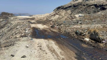 ΦΟΔΣΑ Ν. Αιγαίου: "Είναι πολιτική επιλογή του Θεοδόση Νικηταρά το ψεύδος"