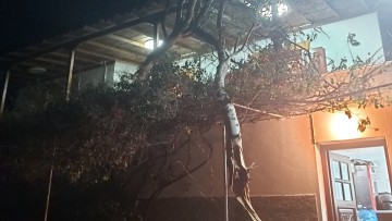 Πάτμος: Ισχυρό «αποτύπωμα» άφησε ο ανεμοστρόβιλος στον Κάμπο την Κυριακή