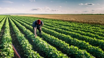 Εισάγουμε εργαζομένους για κάλυψη 89.000 θέσεων – Πού εντοπίζονται τα μεγαλύτερα κενά