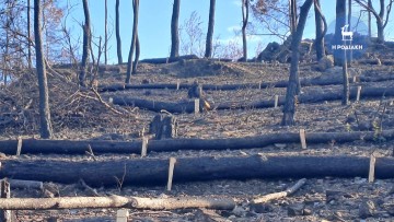 Αντιδιαβρωτικά και αντιπλημμυρικά έργα  3 εκατ. ευρώ υλοποίησε το Δασαρχείο στη Ρόδο