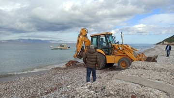 Η Διεύθυνση Καθαριότητας του δήμου Ρόδου απομάκρυνε νεκρό ζώο από τις "Κάτω Πέτρες"