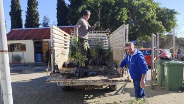 Πεντακόσια δενδρύλλια χορηγήθηκαν από το φυτώριο της Περιφέρειας Νοτίου Αιγαίου στον δήμο Πάτμου
