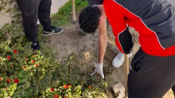 Πράσινα παρτέρια στο 4ο ΓΕΛ Ρόδου – Περιβαλλοντικά ευαισθητοποιημένοι μαθητές και μαθήτριες!