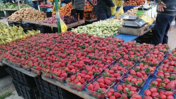 Εκδόθηκαν τα αποτελέσματα για τις άδειες παραγωγών και πωλητών υπαίθριου εμπορίου