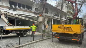 Απομακρύνθηκε με ασφάλεια το πεσμένο δέντρο από το Κέντρο της Ρόδου