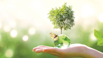 Ελένη Ν. Καραγιάννη: Πρόταση για την ίδρυση Παρατηρητηρίου για τη Βιώσιμη ή Αειφόρο Ανάπτυξη στη Ρόδο