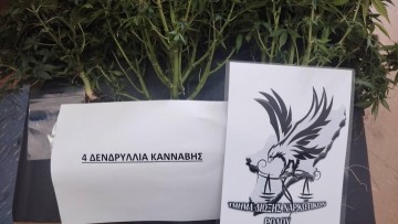 Ρόδος: Δενδρύλλια κάνναβης καλλιεργούσε 34χρονος μέσα στο σπίτι του
