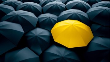 Γιάννης Παρασκευάς: Οι αλήθειες πληγώνουν και ταυτόχρονα θεραπεύουν