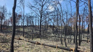 Απλήρωτοι 200 δασεργάτες της Β. Ελλάδας που υλοποίησαν τα αντιπλημμυρικά στις καμένες εκτάσεις της Ρόδου