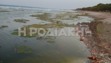 Καταγγελία για ρύπανση από τον βιολογικό σταθμό Κρεμαστής