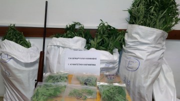 Ποινή φυλάκισης 5 ετών και 4 μηνών για 134 δενδρύλλια κάνναβης