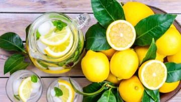Δρ. Ιωάννης Ηλ. Βολανάκης: Κιτρέα η λεμονέα (Citrus limon), κοινώς λεμονιά