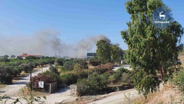 Μεγάλη κινητοποίηση της Πυροσβεστικής – Φωτιά ξέσπασε στην περιοχή των Καλυθιών