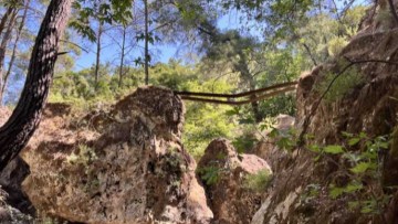 Κατεστραμμένη γέφυρα στο μονοπάτι των Εφτά Πηγών – Έκκληση από συμπολίτης μας για αποκατάσταση και αξιοποίηση