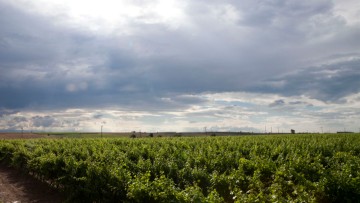 Στέλιος Βονάκης: Κραυγή απόγνωσης και αγωνίας από την Κοινότητα Αγίου Ισιδώρου
