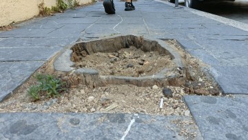 Οδός Αμερικής: Κόπηκαν δέντρα και οι κορμοί μένουν επικίνδυνα εκτεθειμένοι