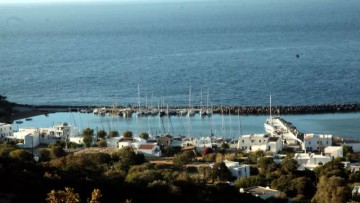 Νέες καταγγελίες για τον ΟΠΕΚΕΠΕ: Στη Νίσυρο δήλωναν αρδευόμενη ρόκα σε βουνό και το υπόλοιπο νησί βοσκοτόπι