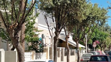 Οι παρεμβάσεις από την Υπηρεσία Πρασίνου συνεχίζονται