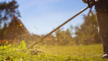 Ξεκίνησαν οι έλεγχοι σε ακαθάριστα οικόπεδα - 3.748 καταγγελίες πολιτών σε 18 ημέρες
