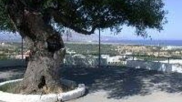 Συνεδριάζει την Πέμπτη η Κοινότητα Καλάθου με «φόντο» ανακύκλωση και τεχνικά έργα Πυλώνας