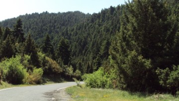 Μελέτη για τη δημιουργία αντιπυρικών ζωνών