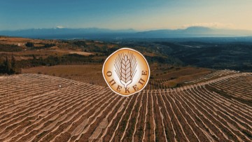 Γιώργος Γεωργαλλίδης: ΟΠΕΚΕΠΕ: Ο Κόπολα θα ζήλευε το «γαλάζιο» σενάριο του «Νονού»