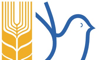 Επέτειος 80 ετών από τη Χιροσίμα και το Ναγκασάκι – Ανακοίνωση της Ροδιακής Επιτροπής Ειρήνης