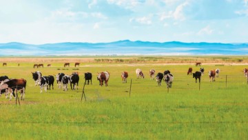 Έρευνα για σκάνδαλο πιστοποιήσεων «μαϊμού» σε βιοκαλλιεργητές – Ελέγχονται ΚΥΔ, εταιρείες και πολιτικά πρόσωπα