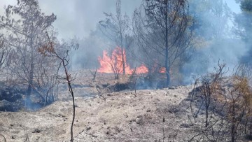 Έσβησε πριν πάρει διαστάσεις η φωτιά στον Θεολόγο – Επενέβησαν άμεσα Πυροσβεστική, Εθελοντές και Πολιτική Προστασία