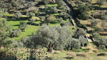 Μανώλης Κασσώτης: Οικονομική και ταξική κατάσταση στην Κάρπαθο επί Τουρκοκρατίας