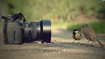 Από τη σκιά στο φως: Σήμερα η Γιορτή της Φωτογραφίας