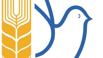 Κάλεσμα από τη Ροδιακή Επιτροπή Ειρήνης για αλληλεγγύη στην Παλαιστίνη