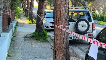 Ο δήμος Ρόδου καλεί τους δημότες να συνεργάζονται με την υπηρεσία Πρασίνου για τις προγραμματισμένες εργασίες κλαδέματος δέντρων