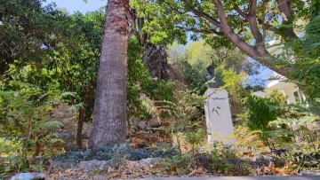 Ανοιχτή πρόσκληση της Λέσχη Lions Χάλκης για συμμετοχή στον καθαρισμό του πάρκου Λοχαγού Φανουράκη στη Ρόδο