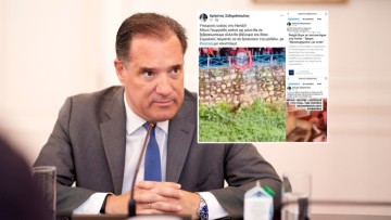 Απειλές κατά του Άδωνι Γεωργιάδη στο Facebook – Σύλληψη 52χρονου από την Ημαθία