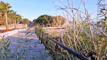 Από...«ζούγκλα τροπικάνα», θέρετρο!